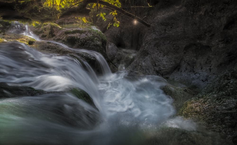 Flowing Forest Waterfall by joanaduenas — canvas wall art