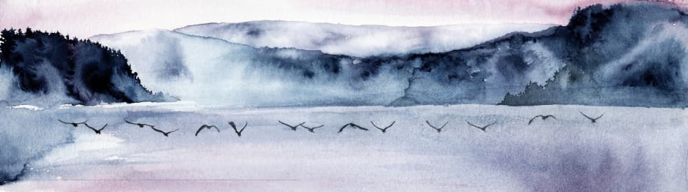 Misty Mountain Birds Flight by RodMacIver — canvas wall art