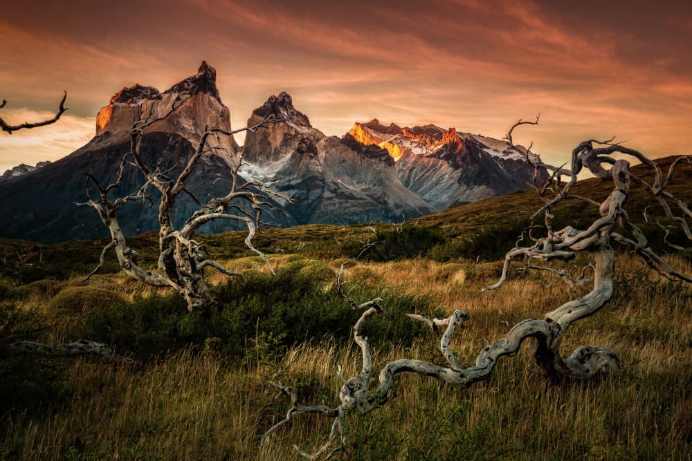 Golden Mountain Sunset by Jie Jin — canvas wall art