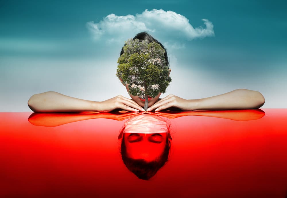 Reflected Nature Spirit by Hari Sulistiawan — canvas wall art