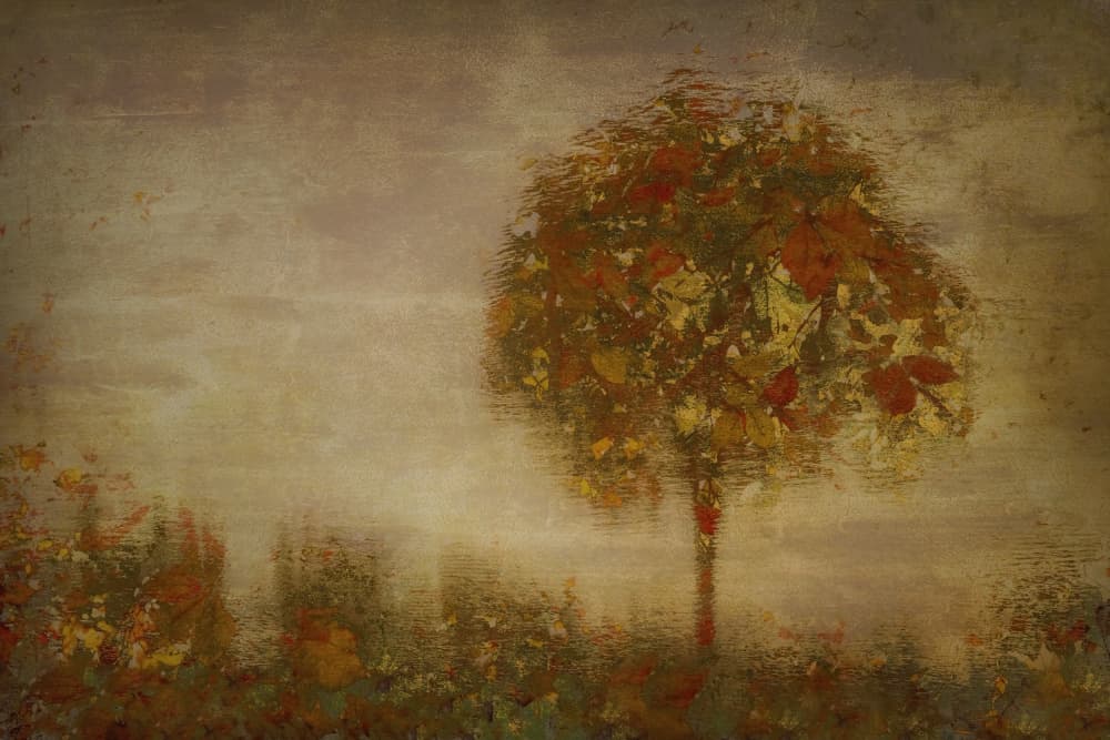 Fantasy 2 by Nel Talen — canvas wall art