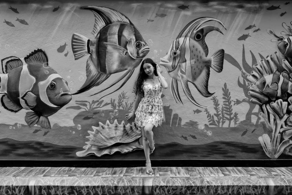 Woman And Fish Mural by Kieron Long — canvas wall art