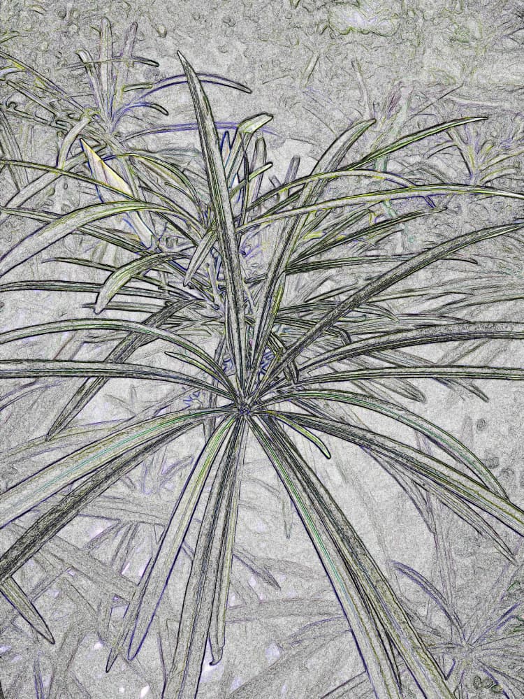 Radiant Green Leaves by Santhosh ch — canvas wall art