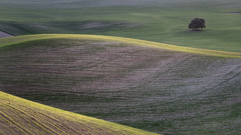 Agricultural landscape in Andalusia by Lucia Gamez — canvas wall art