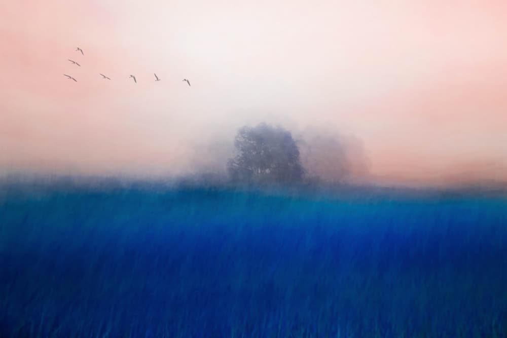 Dreamy Misty Blue Field by Chung gook  Yang — canvas wall art
