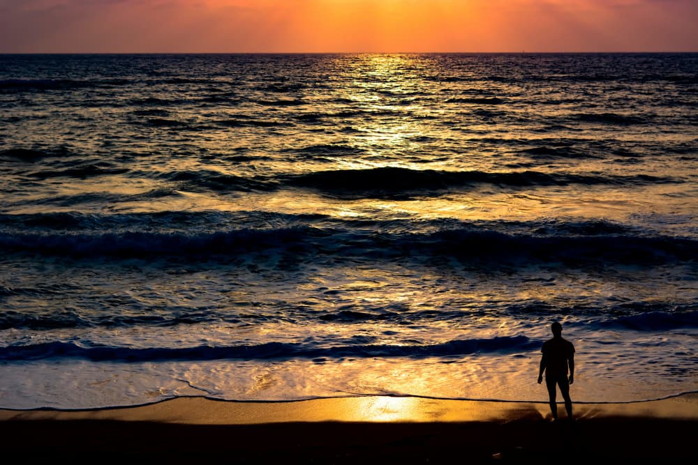 Man Watches Golden Sunset by Tal Paz-Fridman — canvas wall art