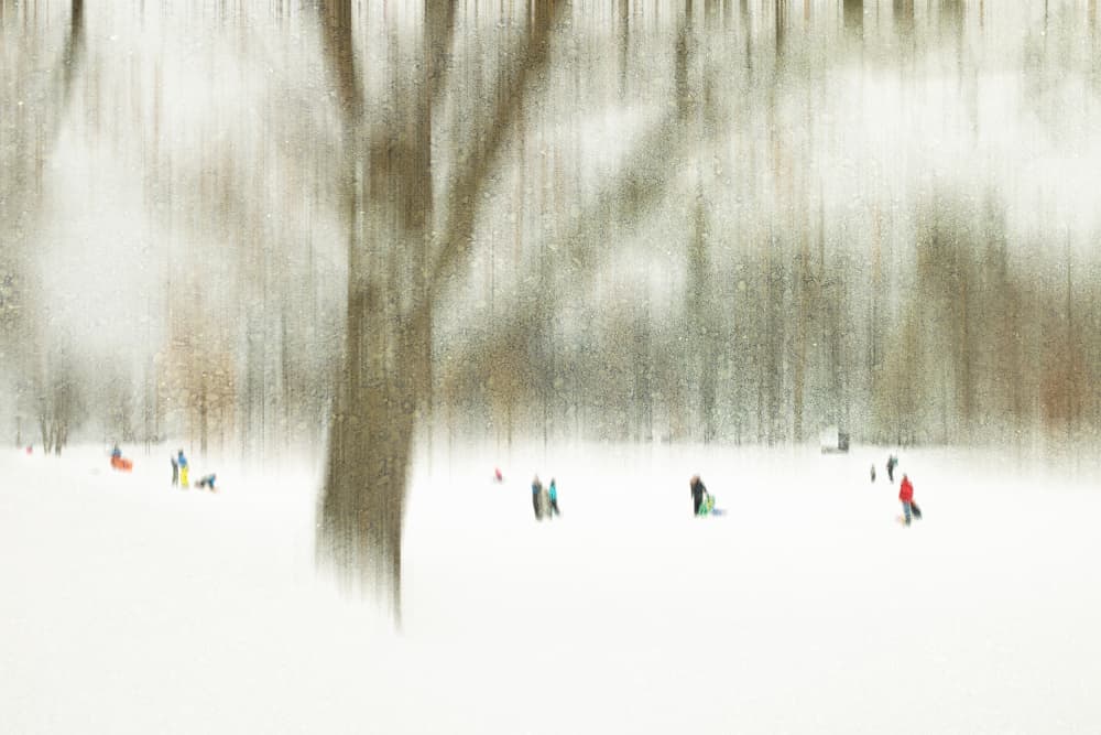 Winter Sledding Fun by Cindy Liu — canvas wall art