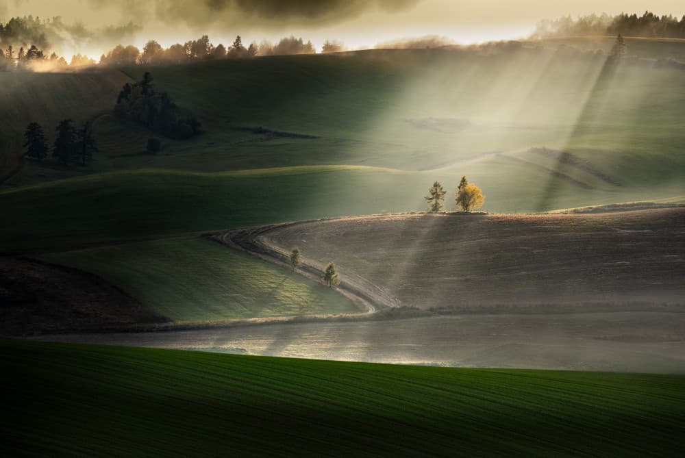 Misty Morning Sunrays by Peter Svoboda MQEP — canvas wall art