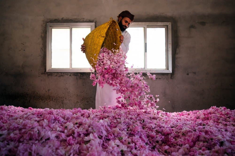 Pouring Rose Petals by Haitham AL Farsi — canvas wall art