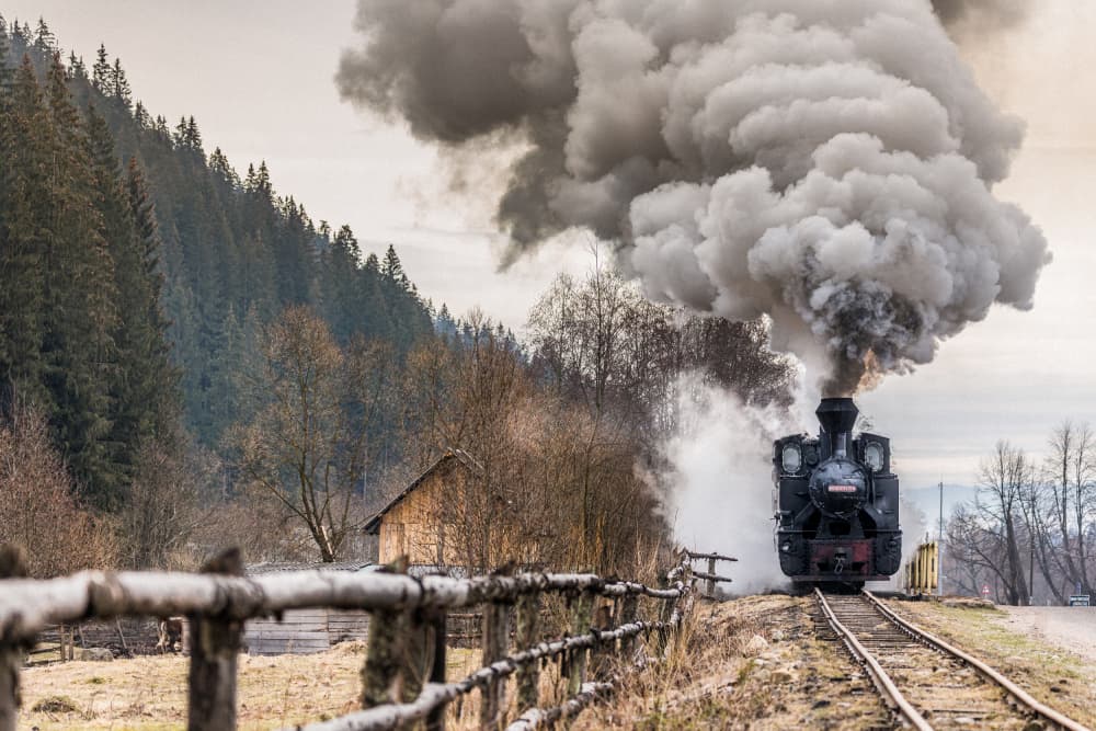 Smoky Forest Train by Adrian — canvas wall art