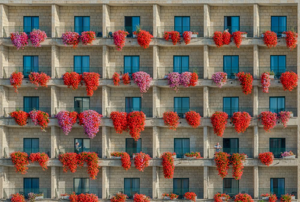 Vibrant Flower Balconies by Miroslaw Prybinski — canvas wall art