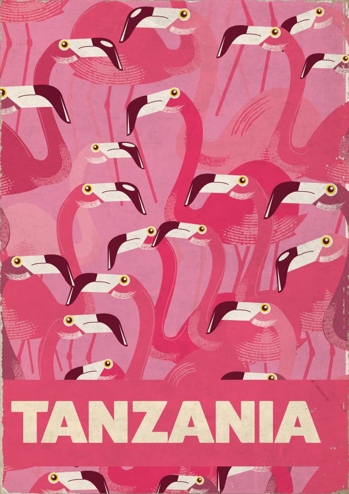 Pink Flamingos Tanzania by Nicholas — canvas wall art