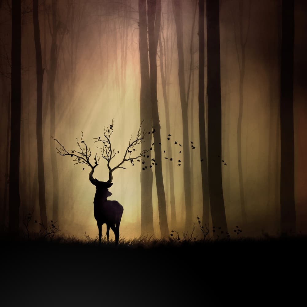 Enchanted Forest Deer by Sebastien DEL GROSSO — canvas wall art