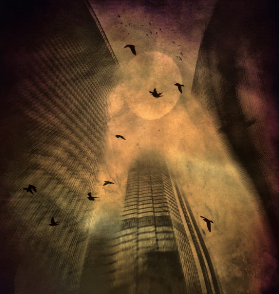 Skyscrapers Golden Sky by Robert Fabrowski — canvas wall art