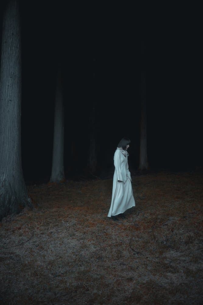 Woman in Dark Woods by Jun Ishibashi — canvas wall art