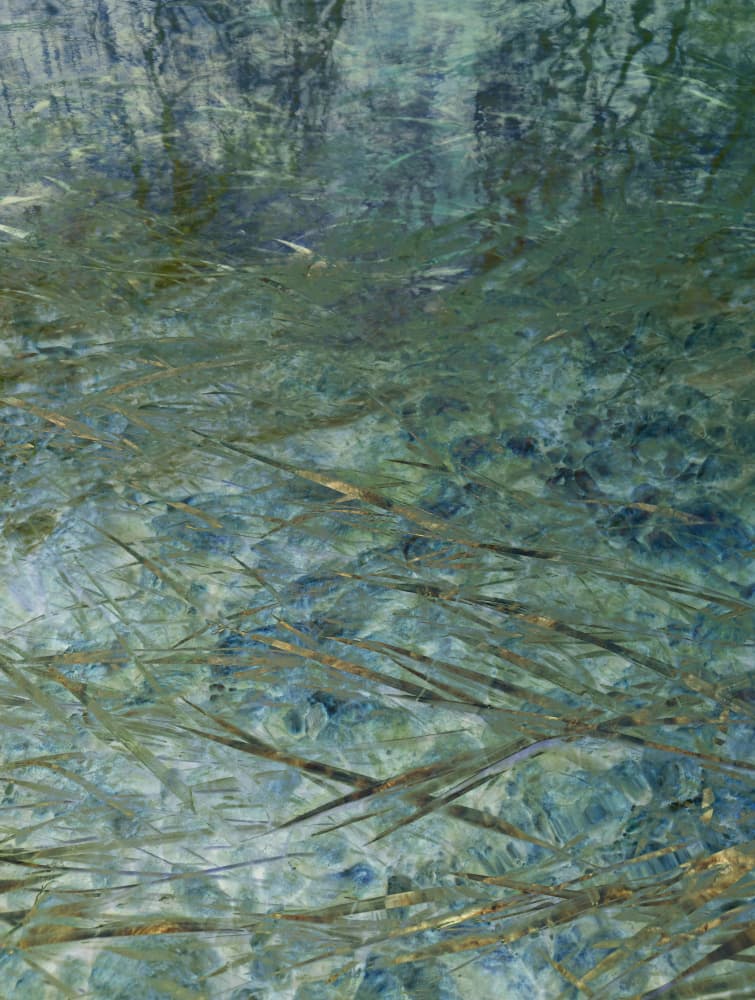 Clear Water Reflections