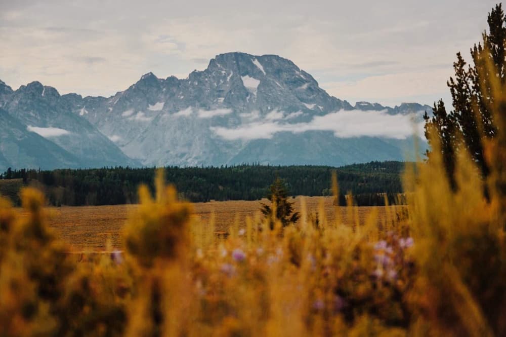 Majestic Mountain Landscape by Del Mundo Portraits — canvas wall art