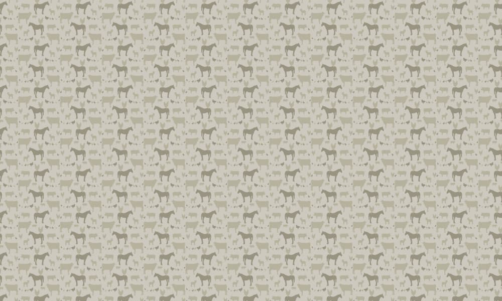 Rustic Farm Animal Pattern by Gemma Bardot — canvas wall art