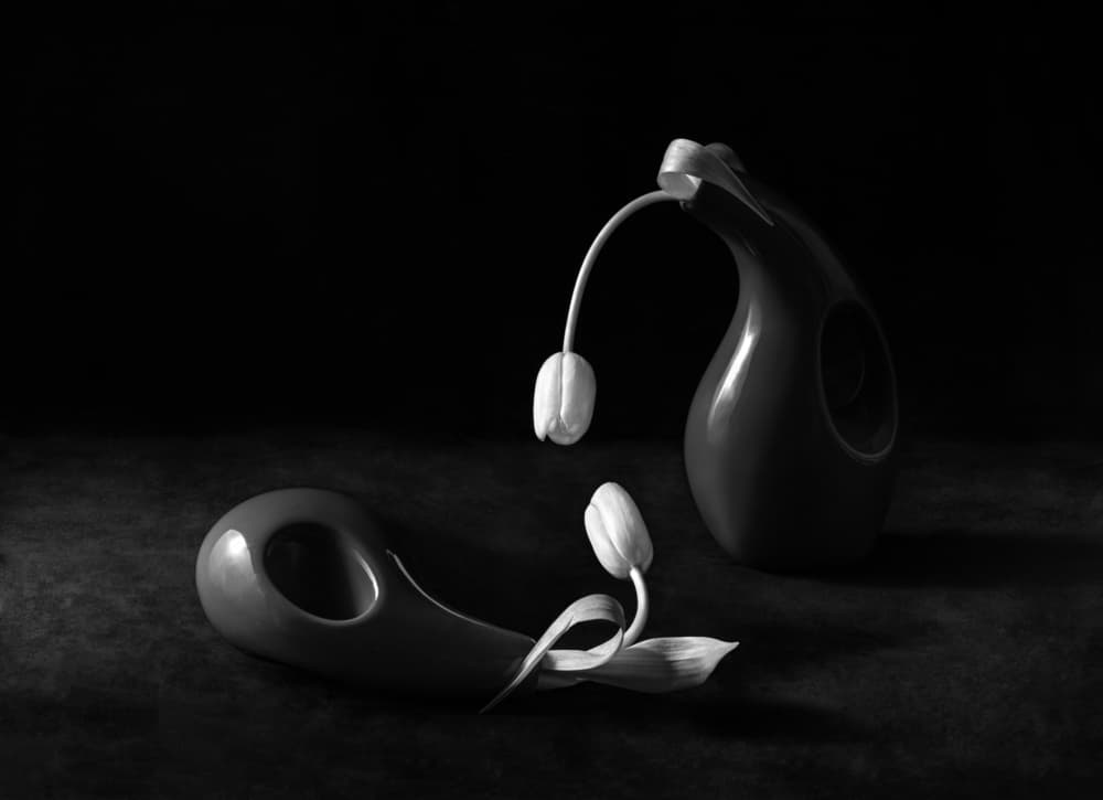 Moody Tulip Vases by Mia Meng — canvas wall art