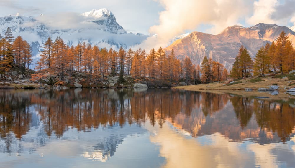 Golden Autumn Reflection by Gianpaolo Meriana — canvas wall art