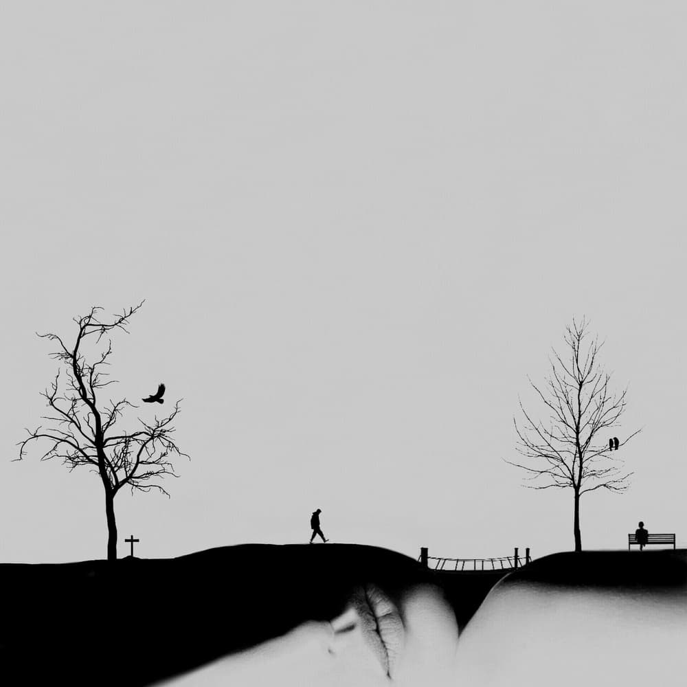 Minimalist Solitary Landscape by Hadi Malijani (Malenjani) — canvas wall art