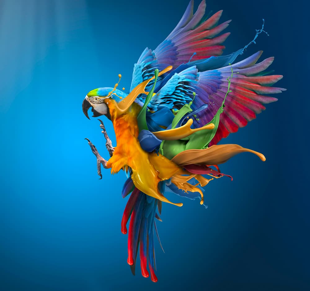 Vibrant Parrot Splash by Sulaiman Almawash — canvas wall art