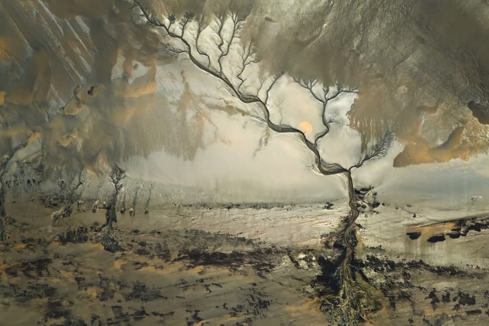 Organic River Patterns