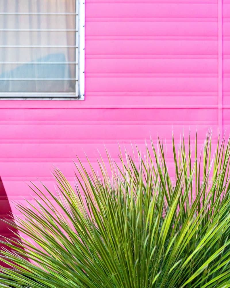 Vintage Pink Camper Trailer with Cactus by Tom Windeknecht — canvas wall art