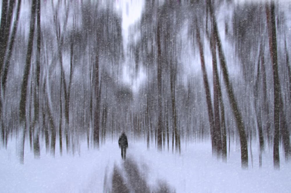 Blurred Winter Solitude by Alexander Kiyashko — canvas wall art