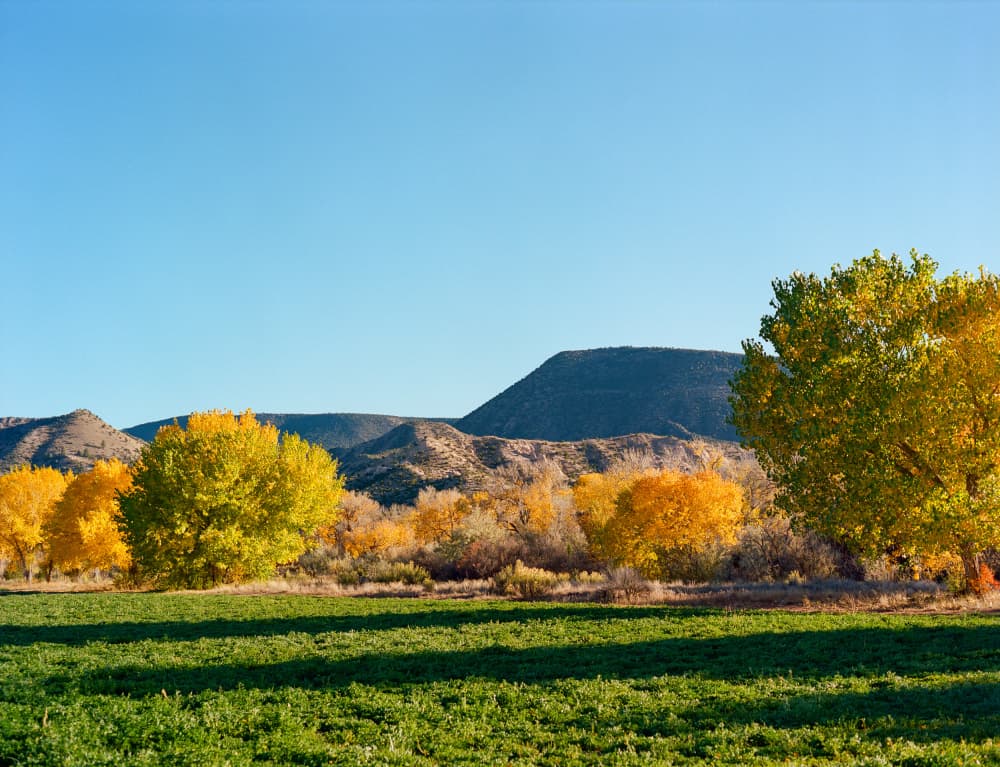 Golden Autumn Landscape by Bethany Young — canvas wall art