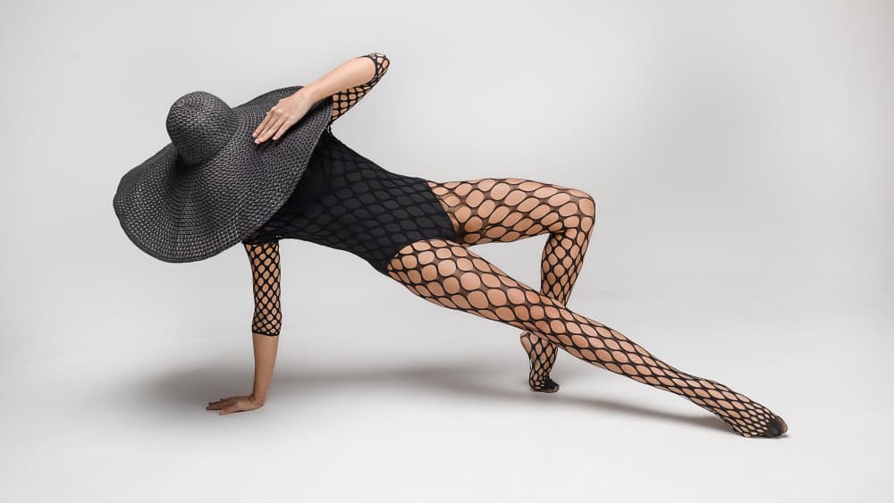 Elegant Fishnet Pose by Joan Gil Raga — canvas wall art