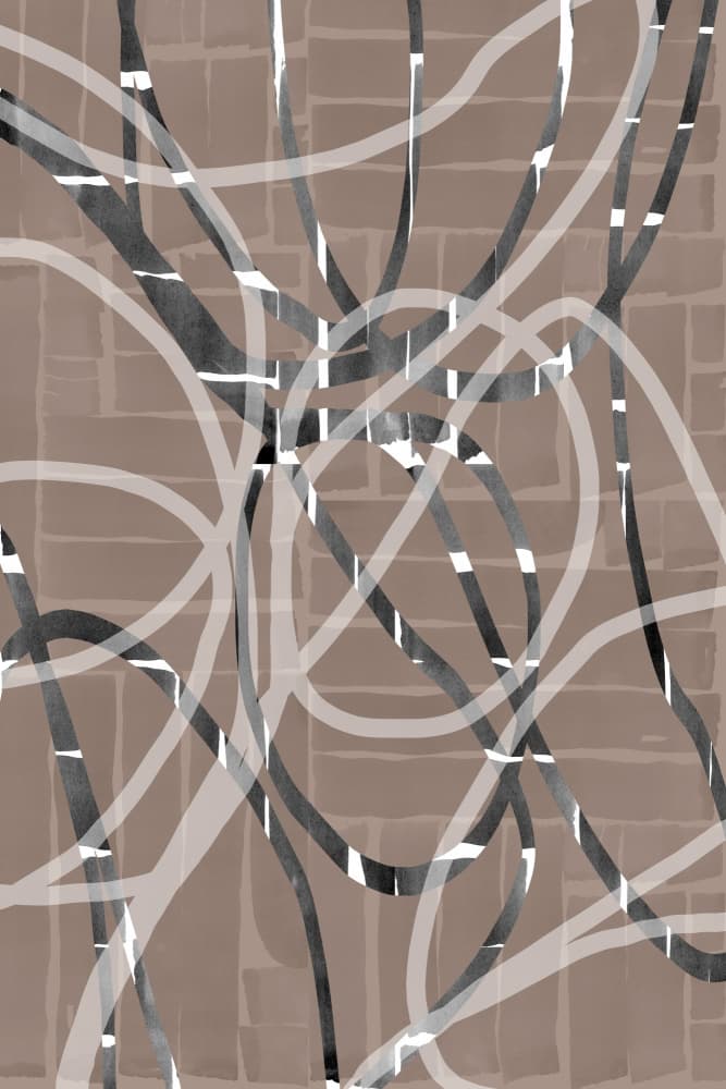 Modern Intertwined Curves by cartissi — canvas wall art