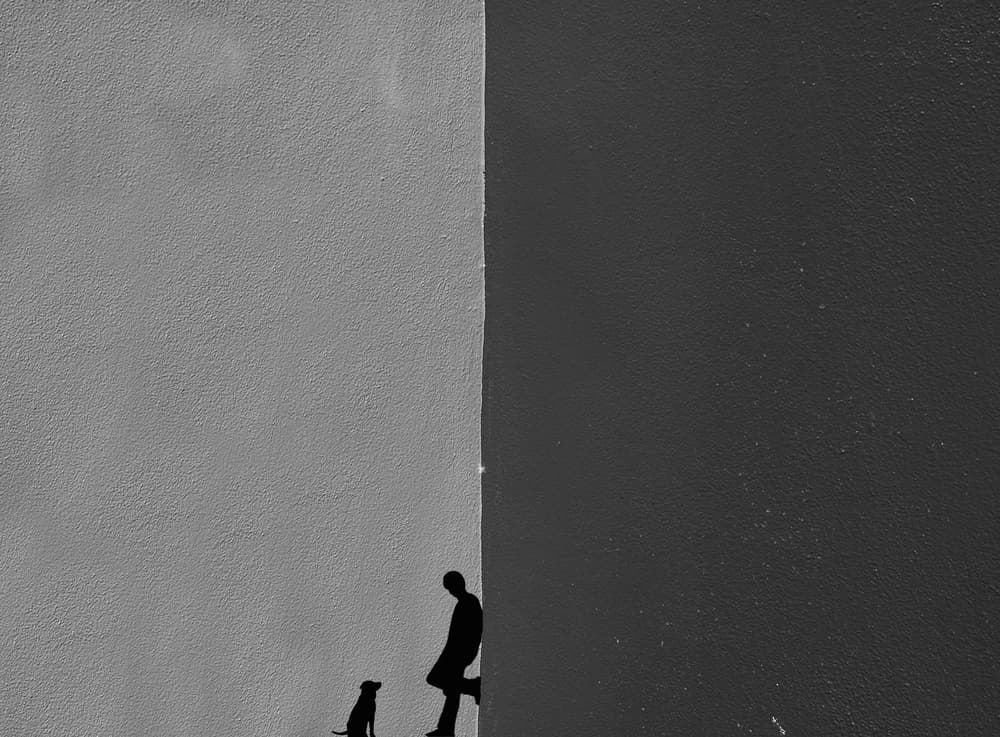 Man and Dog Silhouette by Roxana Labagnara — canvas wall art