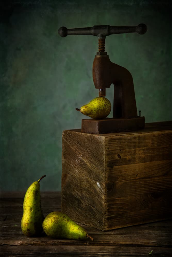 Pears And Vintage Press by Felice Angelino — canvas wall art