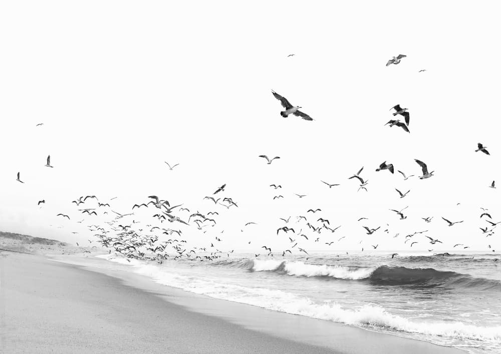 Seascape BW by Kathrin Pienaar — canvas wall art