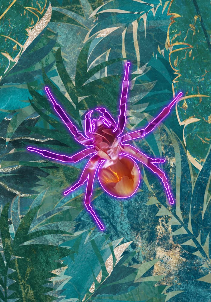 Neon Jungle Spider by Sarah Manovski — canvas wall art