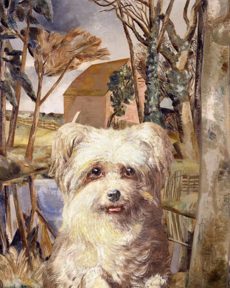 Fluffy Dog Countryside by Marja van den Hurk — canvas wall art