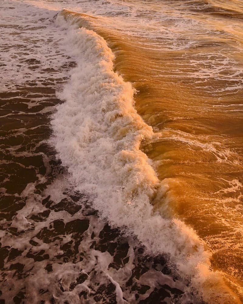 Golden Ocean Wave by Del Mundo Imagery — canvas wall art