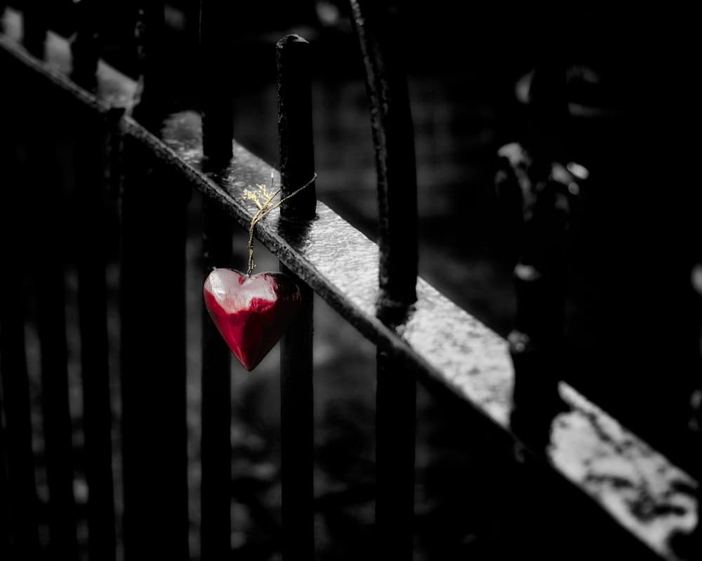 Lonely Red Heart by Richard Bland — canvas wall art