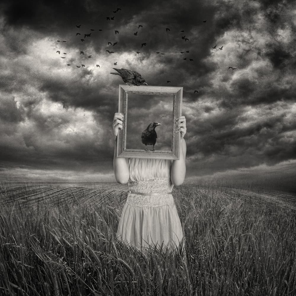 Woman With Framed Raven by Baden Bowen — canvas wall art