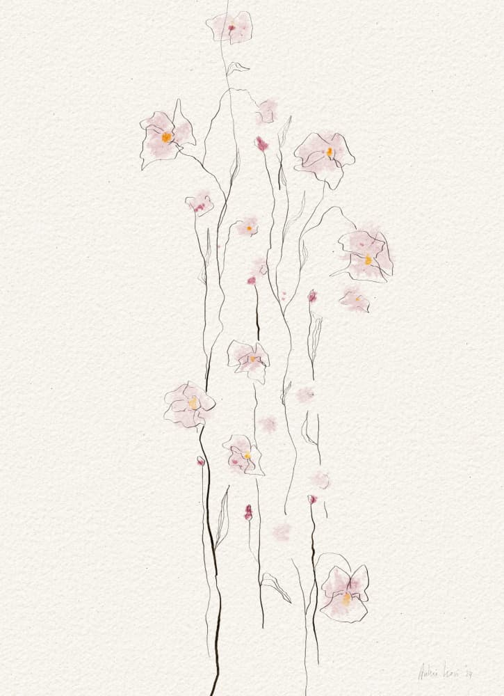 Delicate Pink Blossoms by Ankie Kooi — canvas wall art