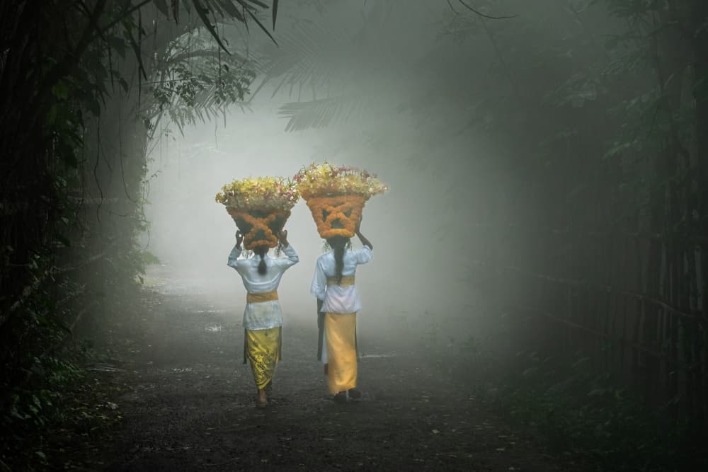 Misty Jungle Flower Carriers by Els Keurlinckx — canvas wall art