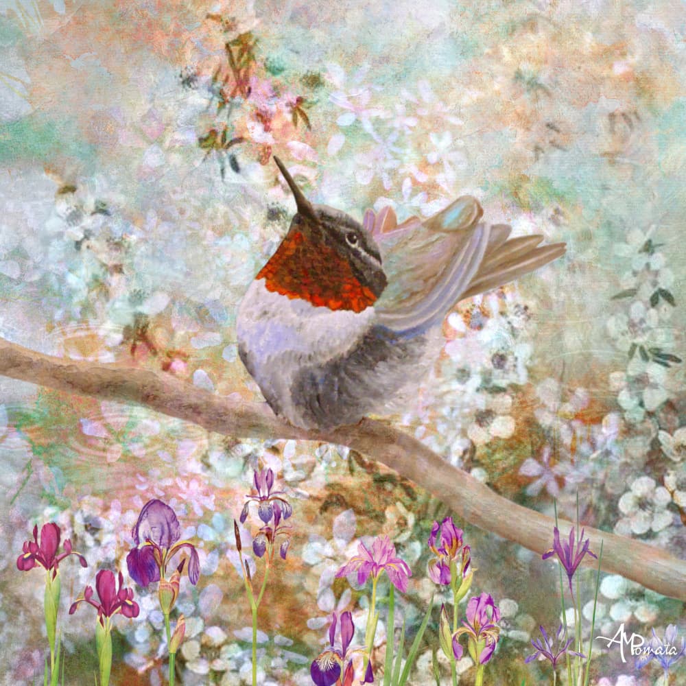 Hummingbird In Bloom by Angeles M. Pomata — canvas wall art
