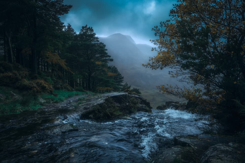 Misty Mountain Stream by Milos Lach — canvas wall art