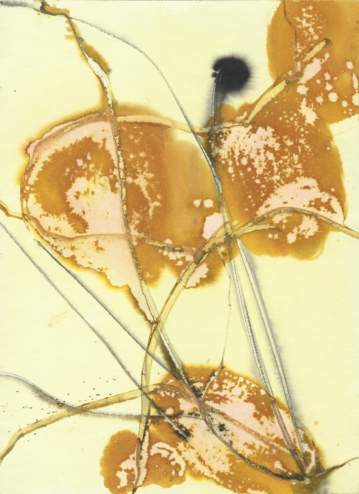 Organic Golden Washes by Frederic Belaubre — canvas wall art