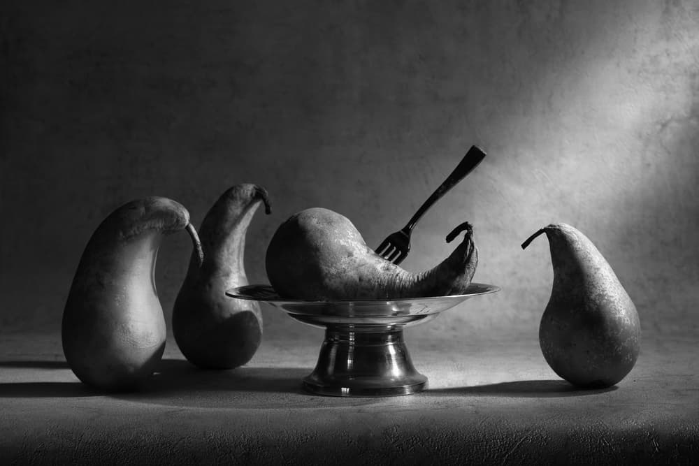 Curious Pears Still Life by Victoria  Glinka — canvas wall art