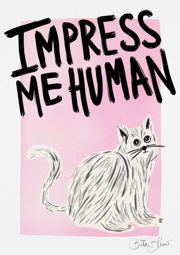 Impress Me White Cat by Baroo Bloom — canvas wall art