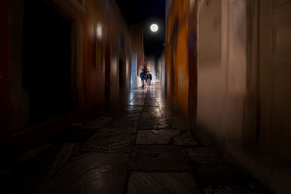 Moonlit Alley Walk by John-Mei Zhong — canvas wall art