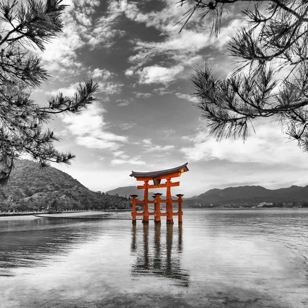 Miyajima Torii Gate by Melanie Viola — canvas wall art