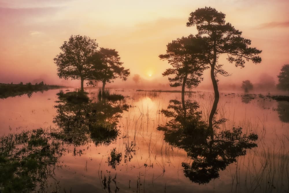 Misty Morning Reflections by Hilda van der Lee — canvas wall art